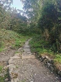Stone path leading to the wodds